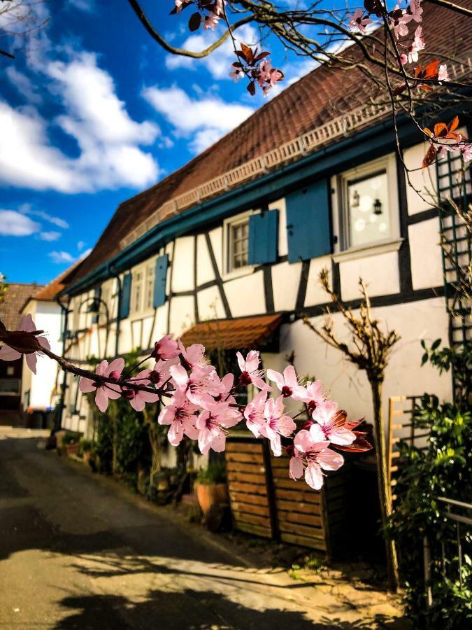 Hexenhaeuschen Dreieichenhain 외부 사진
