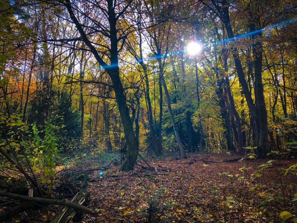 Hexenhaeuschen Dreieichenhain 외부 사진